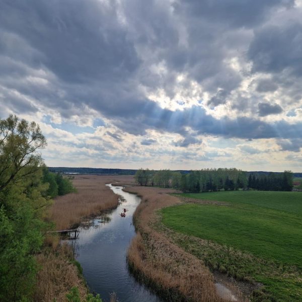 Spływy kajakowe Krutynia