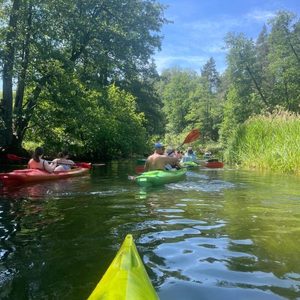 Spływy kajakowe Krutynia